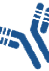thera-image