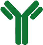 antibody_icon
