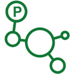 custom-peptide-synthesis
