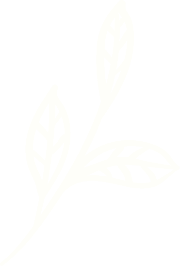banner-leaf-right